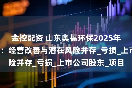 金控配资 山东奥福环保2025年一季度财报解读：经营改善与潜在风险并存_亏损_上市公司股东_项目