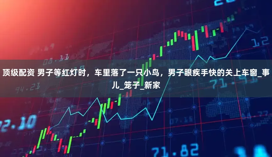 顶级配资 男子等红灯时，车里落了一只小鸟，男子眼疾手快的关上车窗_事儿_笼子_新家