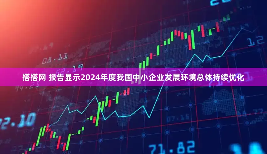 搭搭网 报告显示2024年度我国中小企业发展环境总体持续优化