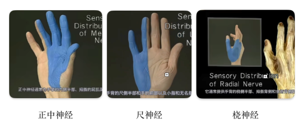 扬帆优配 胳膊肘的皮为什么是死皮。