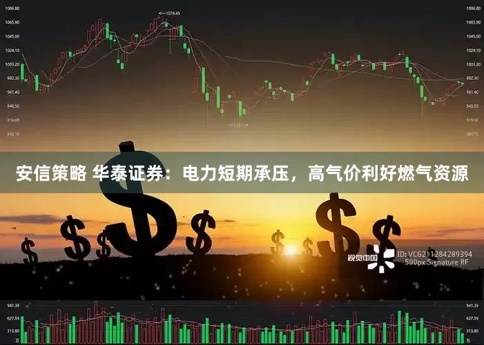 安信策略 华泰证券：电力短期承压，高气价利好燃气资源